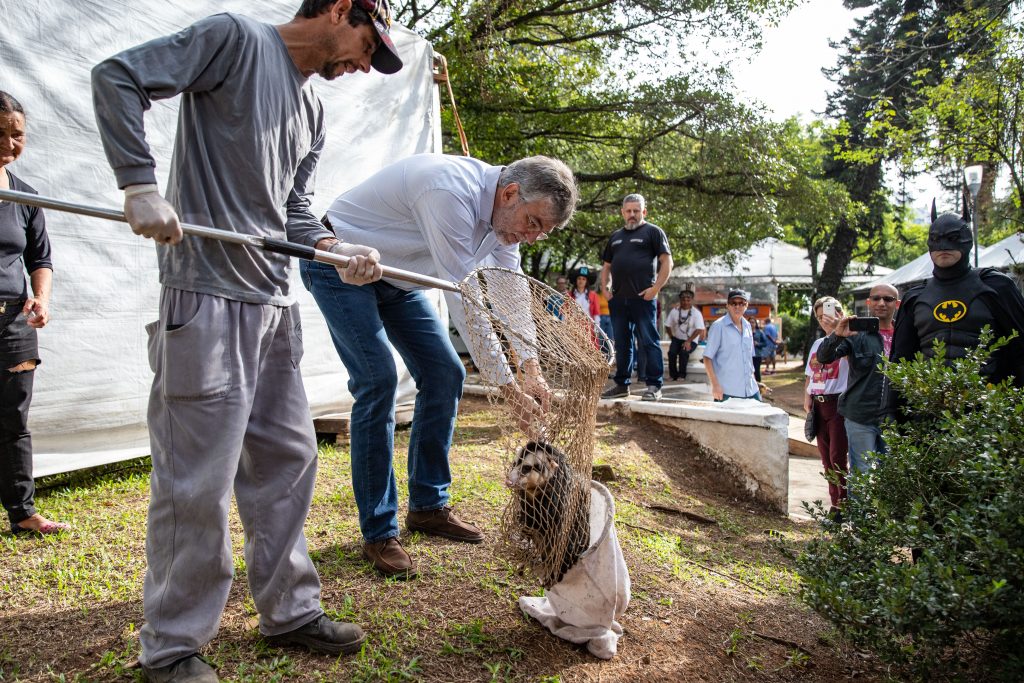 Mini Zoo é acionado para resgatar animal silvestre durante a Feira do Livro de Canoas