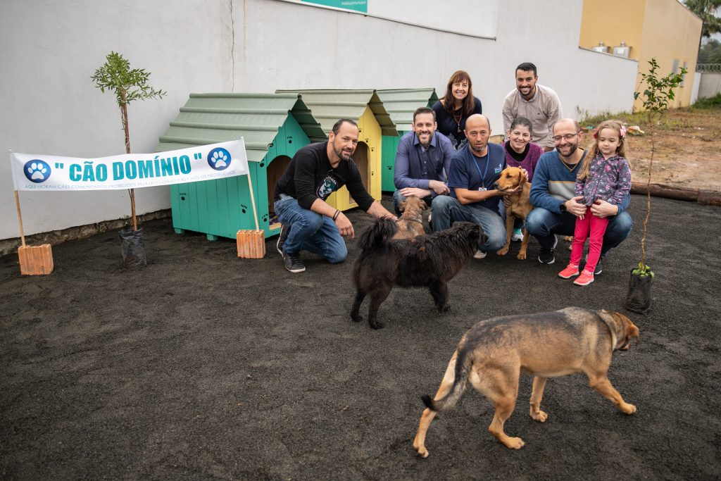 Resultado de imagem para cãodomínio canoas