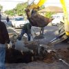 Subprefeituras trabalham em manutenções e consertos