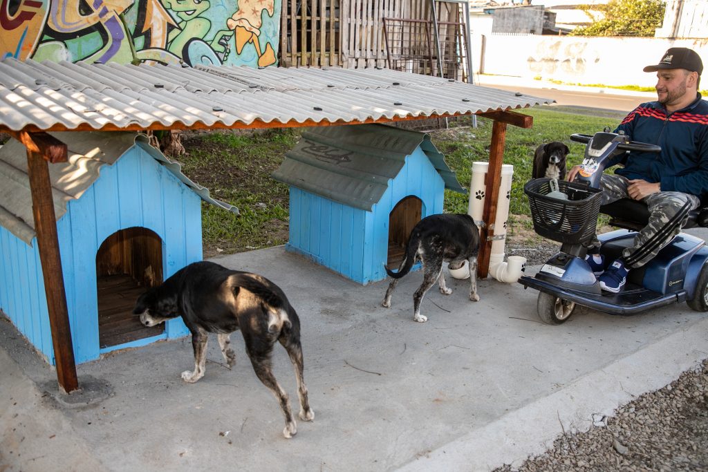 Resultado de imagem para cãodomínio canoas