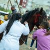 Nesta terça-feira (29), o Centro de Bem-Estar Animal (CBEA) em parceria com a Secretaria Municipal de Transporte e Mobilidade (SMTM) e a Guarda Municipal realizou mais uma Blitz de Proteção Animal, desta vez no Loteamento Prata, no bairro Fátima. A ação teve o objetivo de fiscalizar o estado de saúde dos cavalos que passavam pelo local.