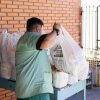 Cerca de 81% das Cestas Escolares do mês de outubro já foram entregues