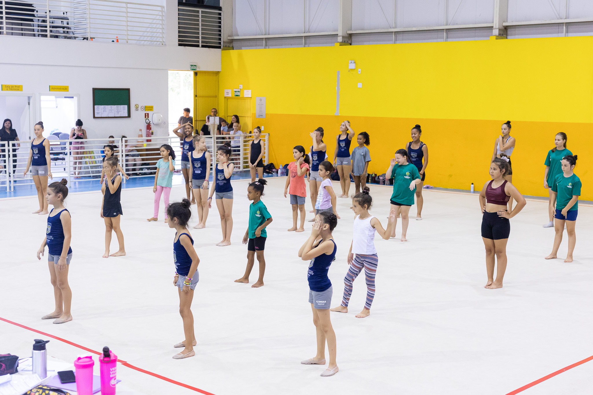 Ginástica rítmica canoense é destaque em torneio na Sogipa - Região -  Jornal VS