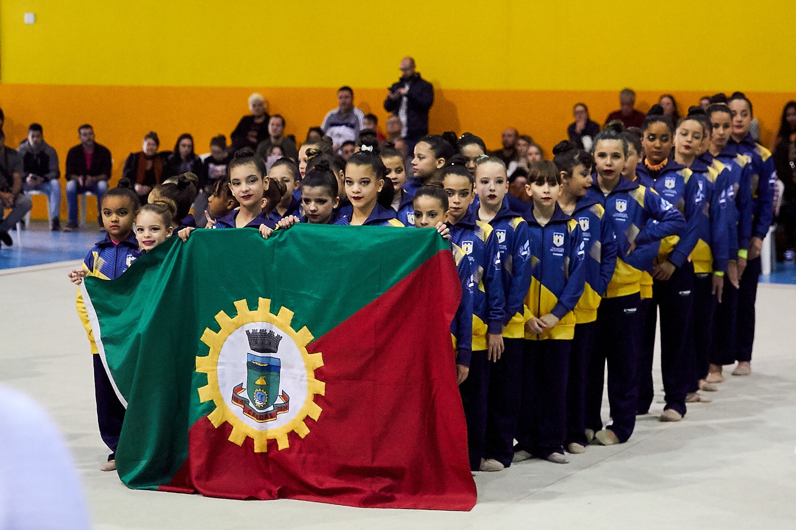 Ginástica rítmica canoense é destaque em torneio na Sogipa - Região -  Jornal VS