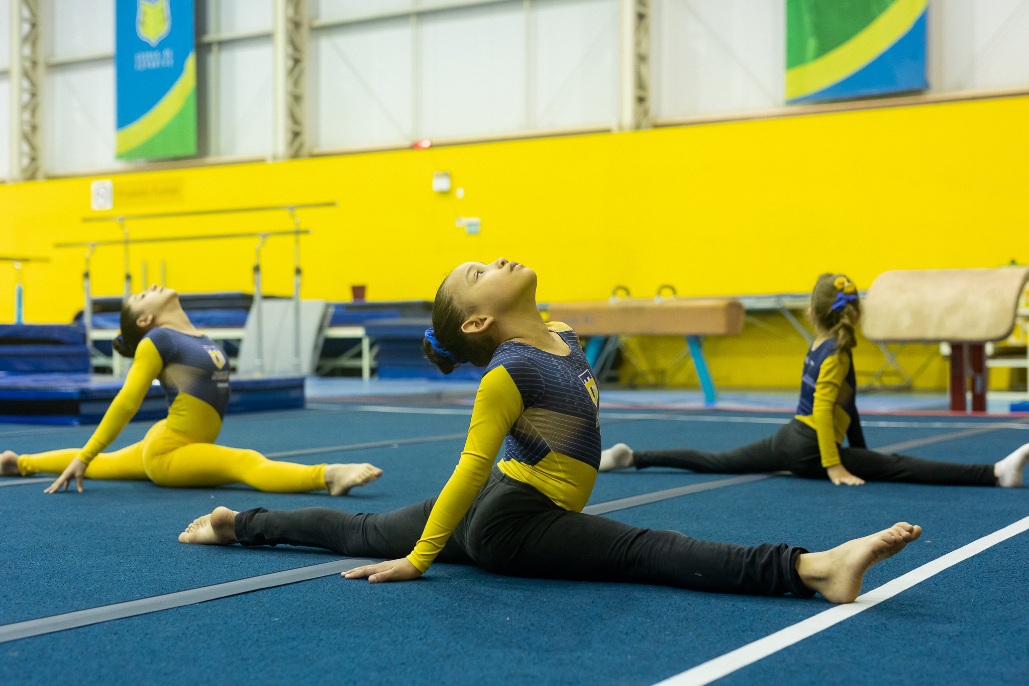 Sogipa: Atletas da Sogipa conquistam 15 pódios na I Etapa do Campeonato e  Torneio Estadual de ginástica rítmica