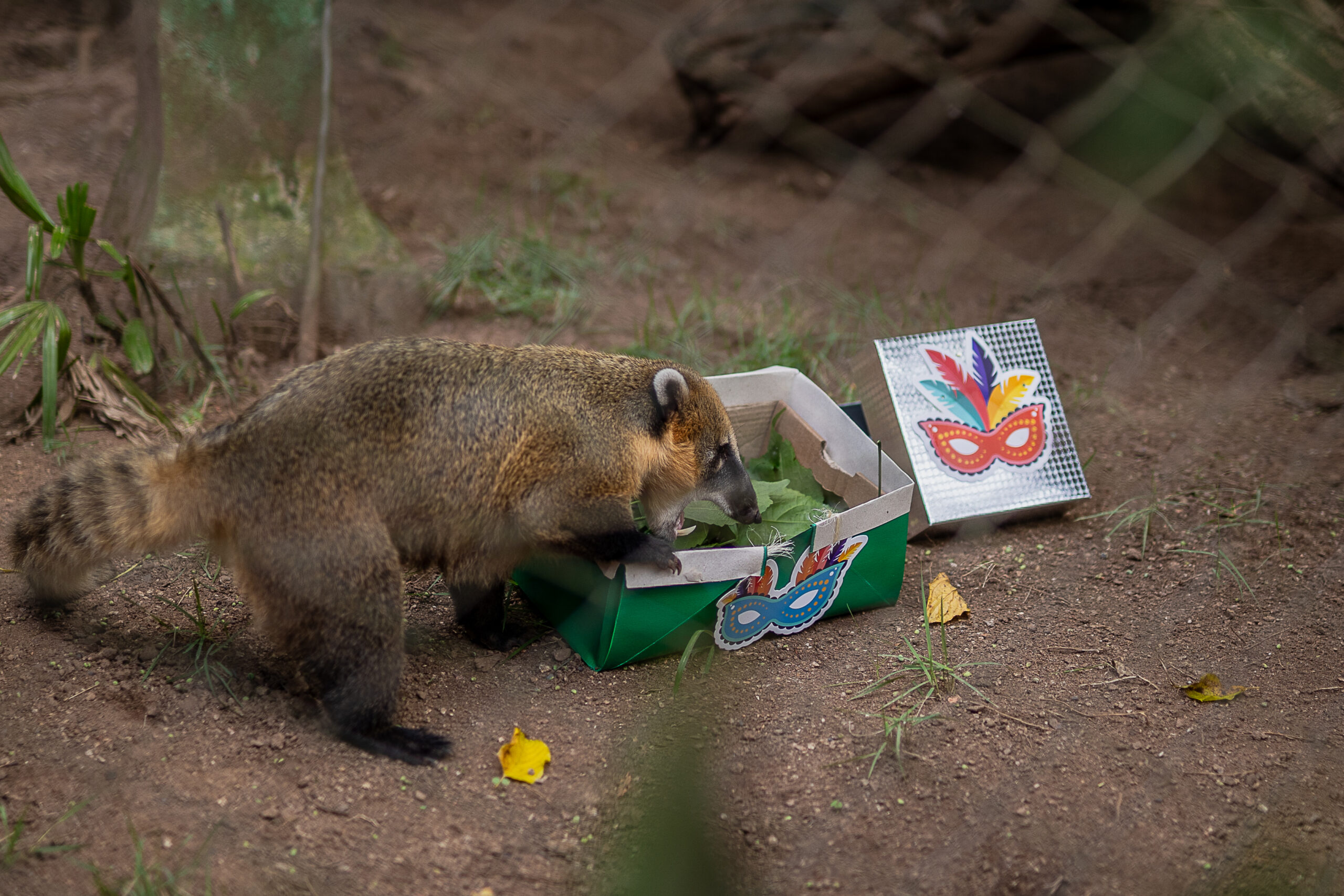 Minizoo de Canoas promove ação especial de Carnaval para animais e visitantes