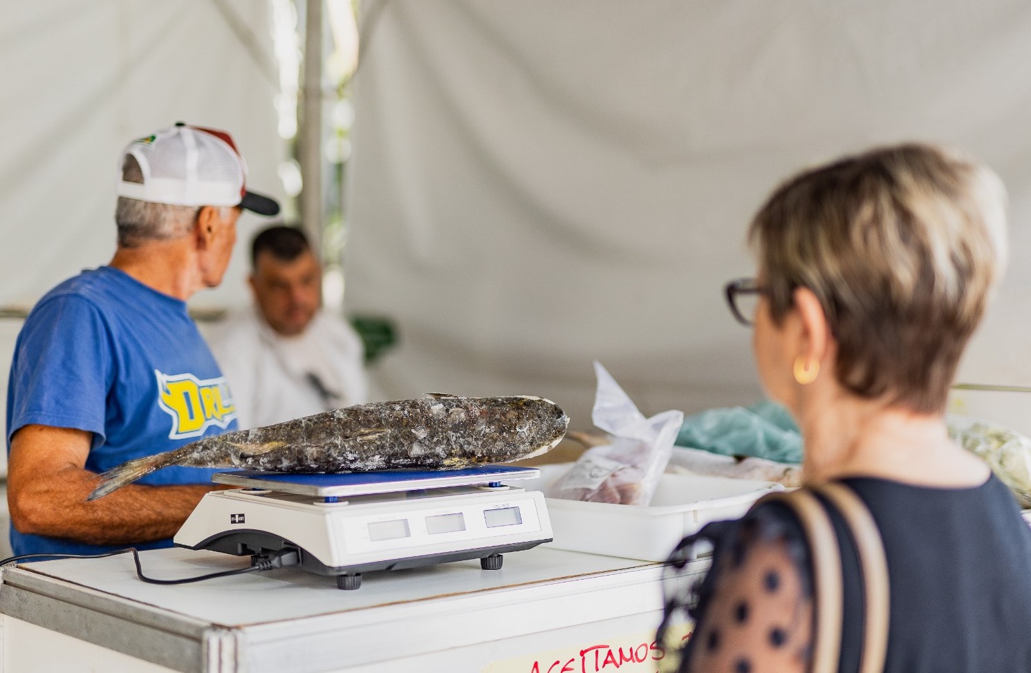 Feira do Peixe de Canoas ocorre de forma descentralizada a partir desta terça-feira