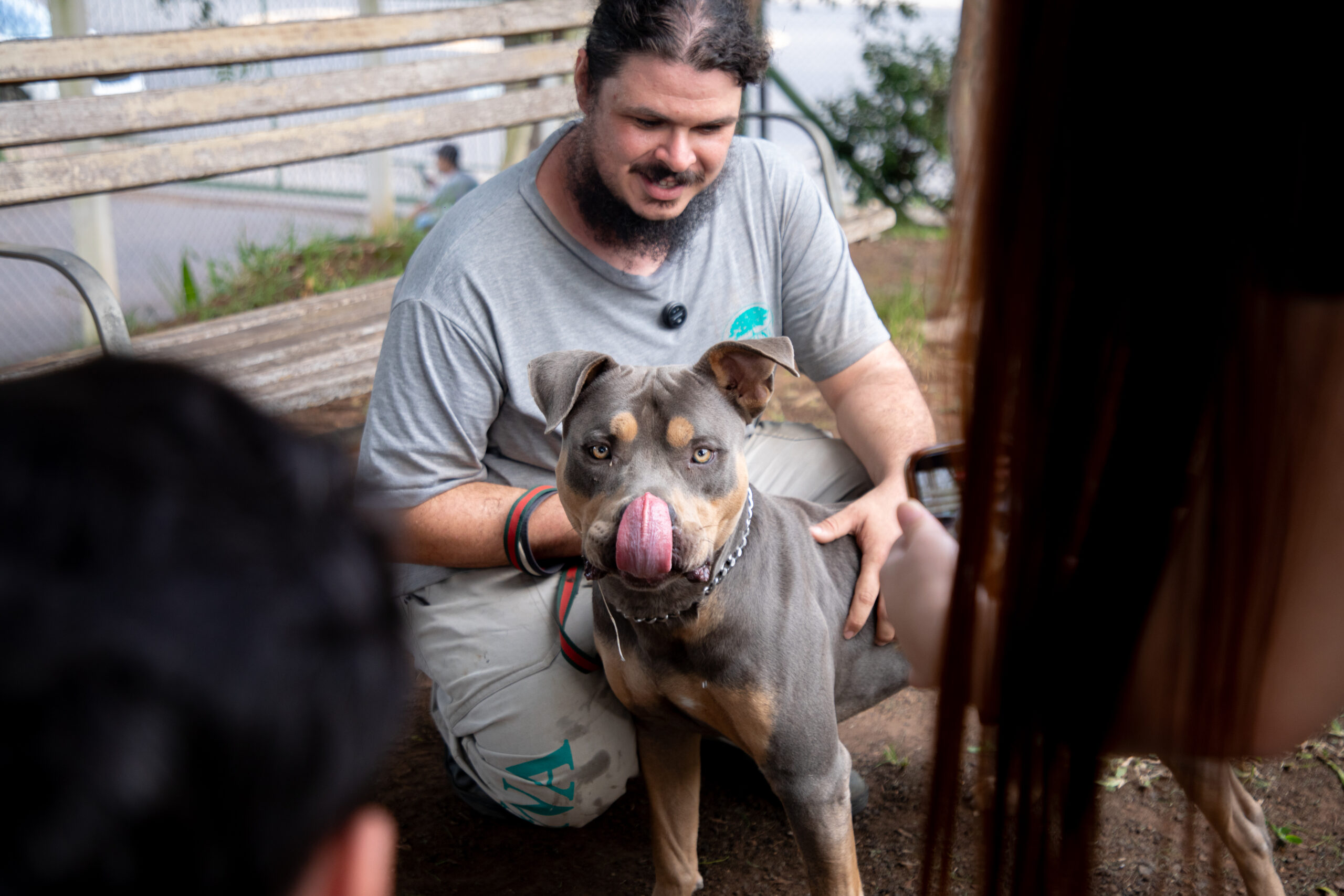 Canoas implanta Projeto Zero Correntes no Bem-Estar Animal
