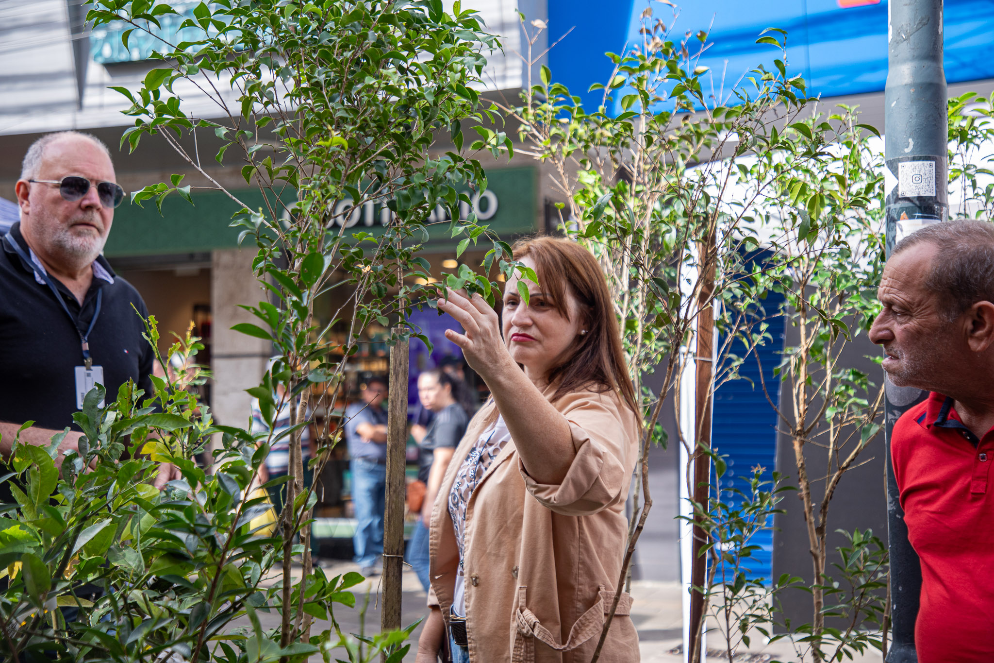Meio Ambiente em Ação leva orientações e doação de mudas ao Calçadão