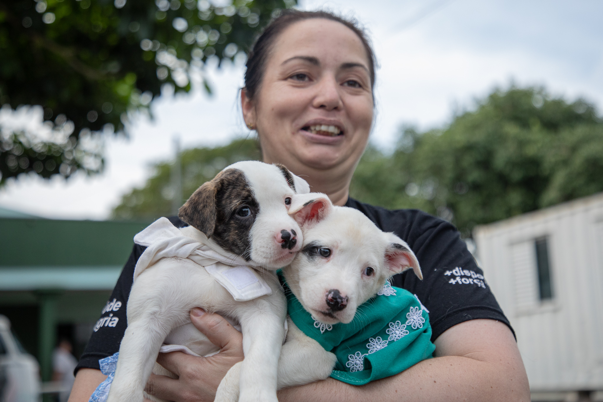 Ação de adoção em Canoas garante novo lar a filhotes