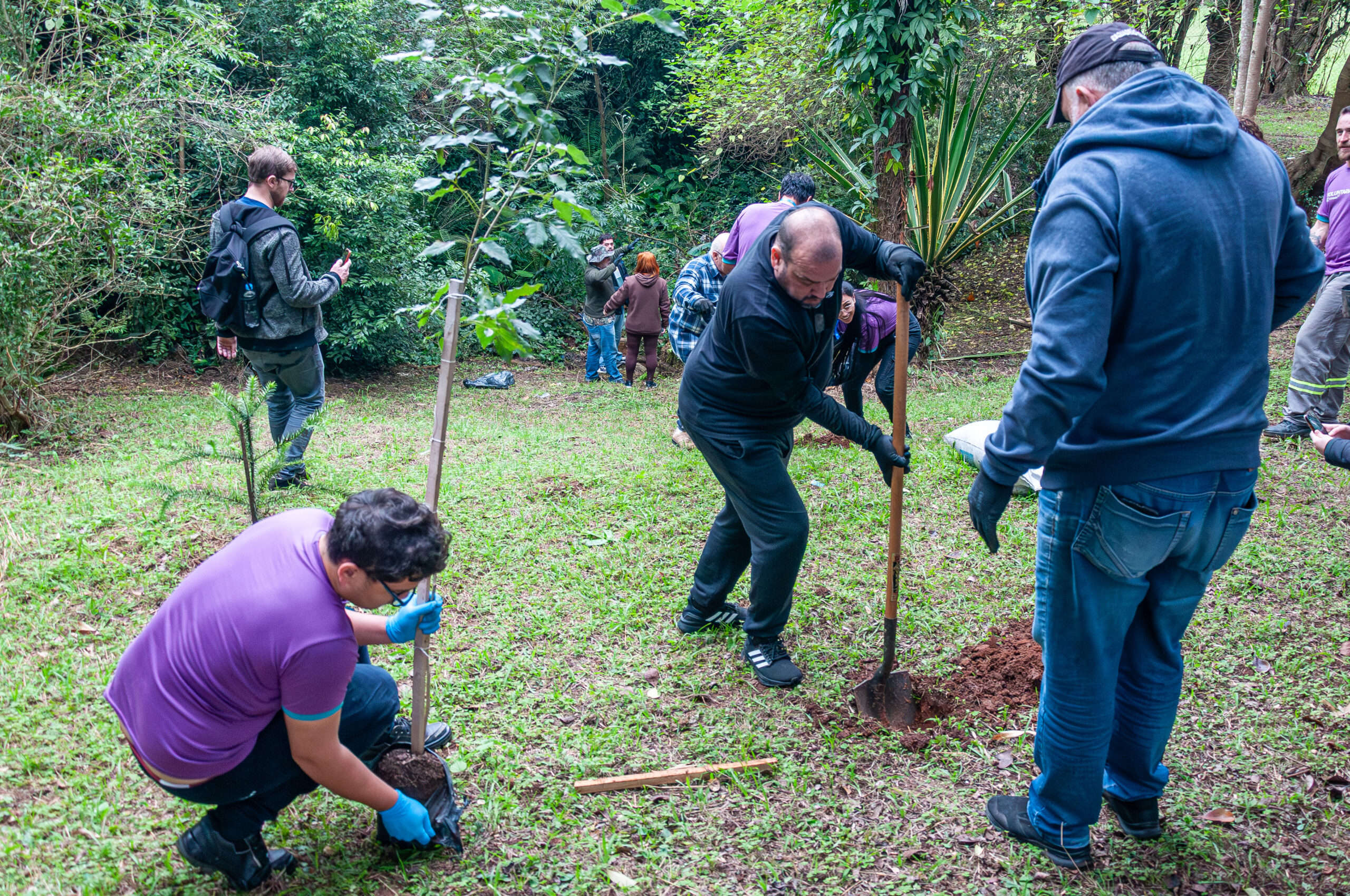 Canoas promove mutirão de limpeza e plantio de mudas na Praça Dona Josefina