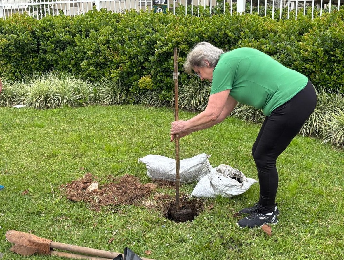 Comunidade participa de ação de plantio de árvores em prol da preservação ambiental